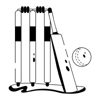 Cricket Equipment icon