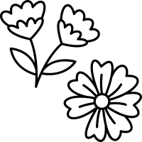Dried Flowers icon