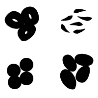 Dried Fruits icon