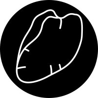 Foie Gras Production icon