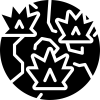 Military History icon
